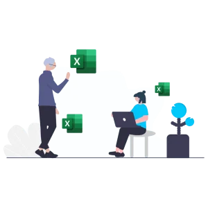 MS Office Excel Training