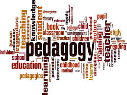 Pedagogy Training